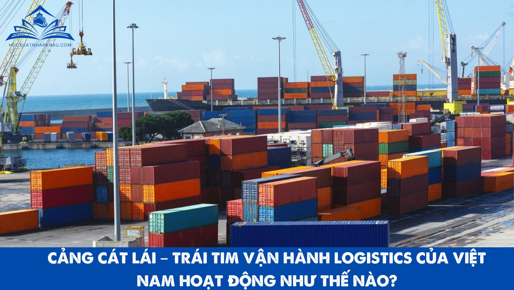 CẢNG CÁT LÁI – TRÁI TIM VẬN HÀNH LOGISTICS CỦA VIỆT NAM HOẠT ĐỘNG NHƯ THẾ NÀO?