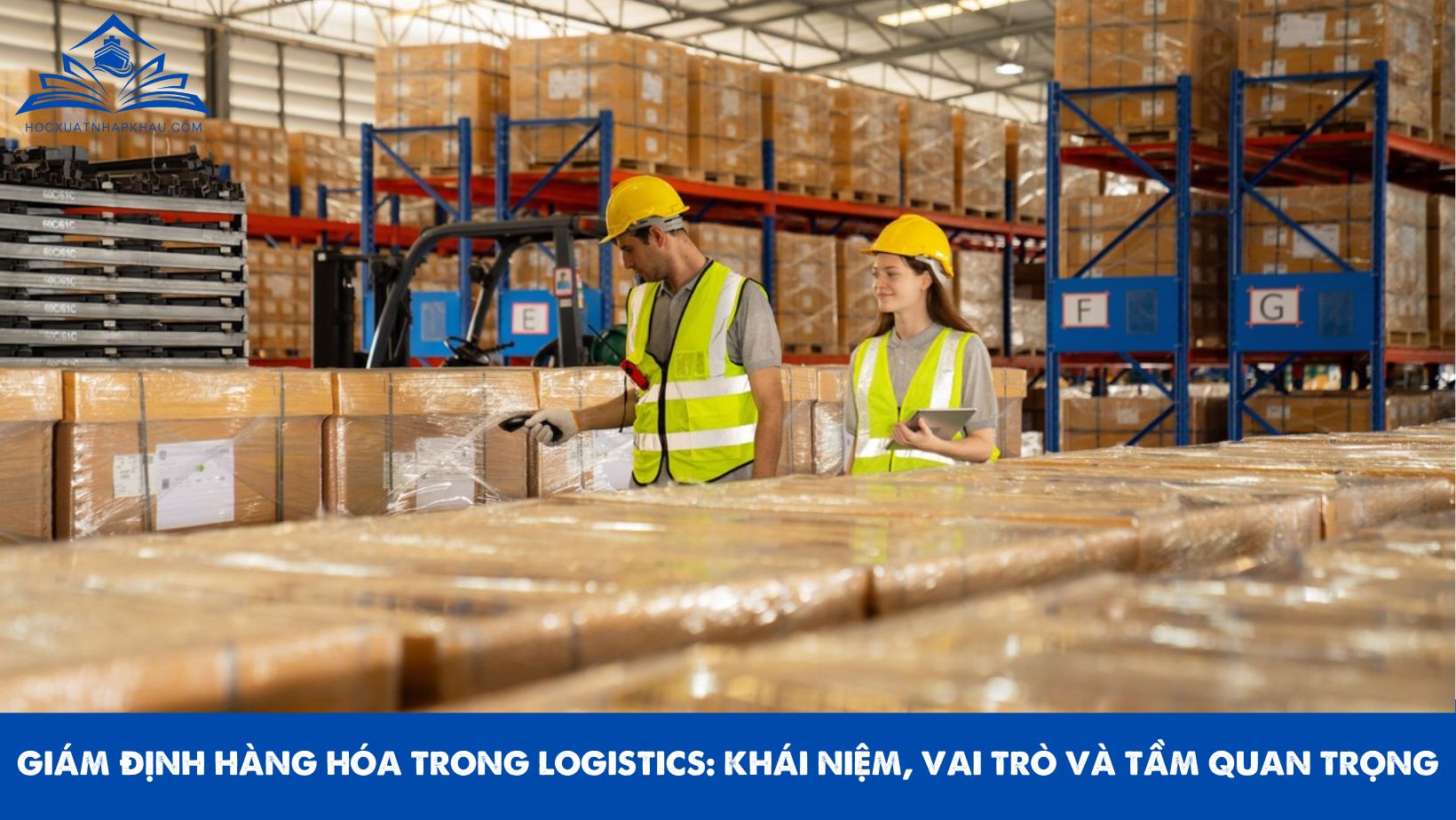 GIÁM ĐỊNH HÀNG HÓA TRONG LOGISTICS: KHÁI NIỆM, VAI TRÒ VÀ TẦM QUAN TRỌNG