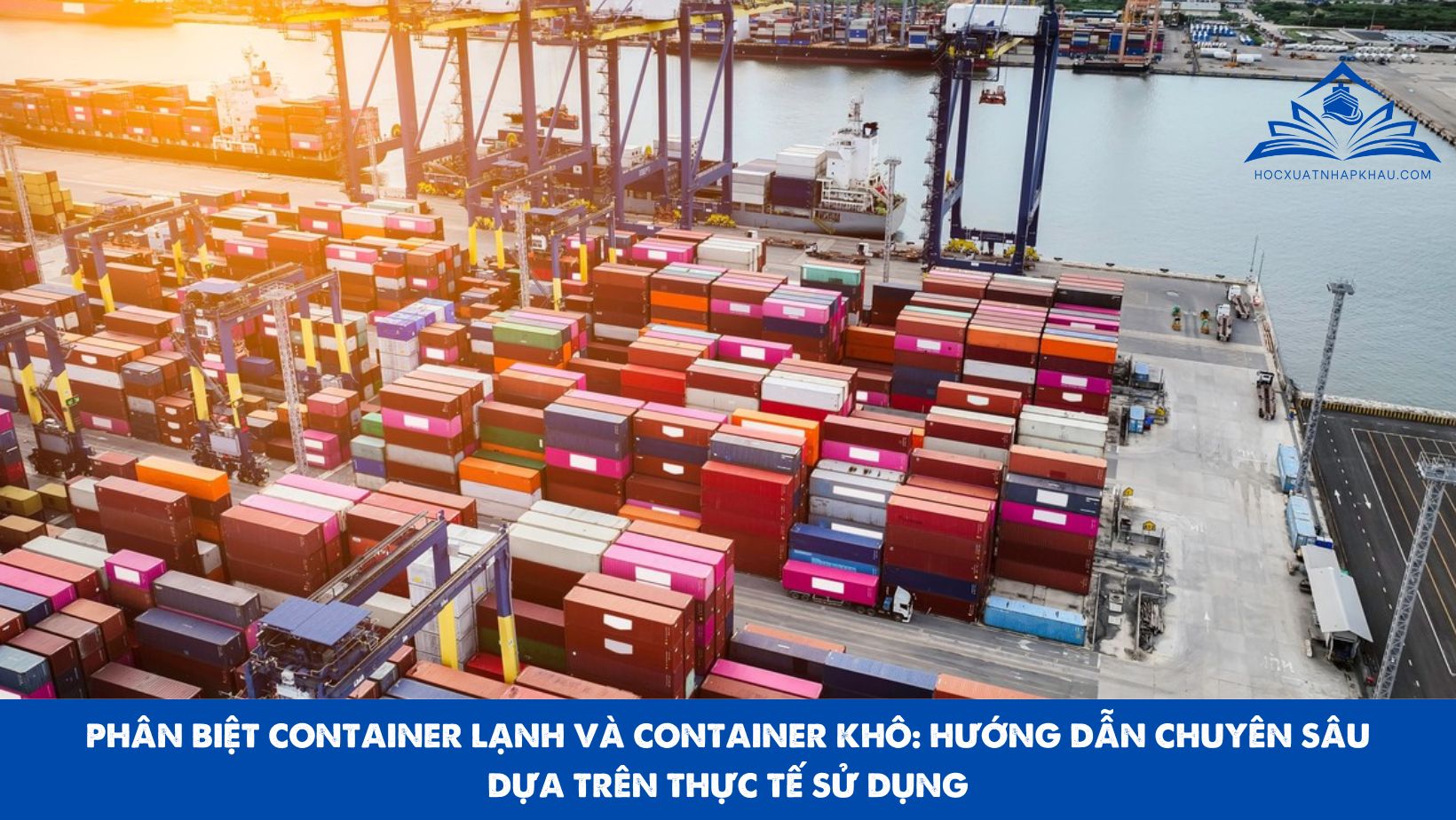 PHÂN BIỆT CONTAINER LẠNH VÀ CONTAINER KHÔ: HƯỚNG DẪN CHUYÊN SÂU DỰA TRÊN THỰC TẾ SỬ DỤNG